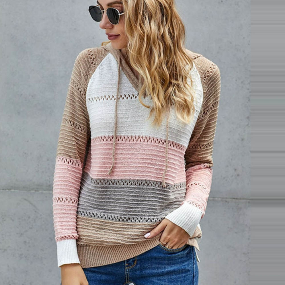 Nwt hooded knit sweater